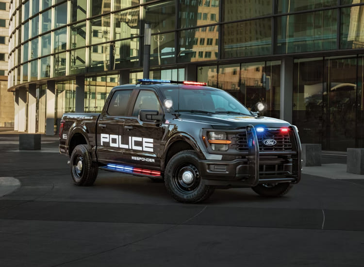 Public Safety
